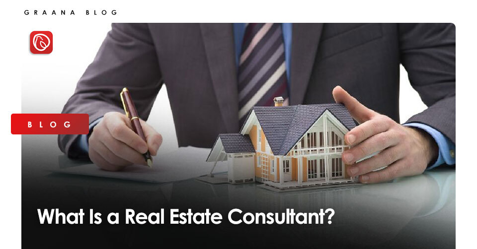 What to Expect from a Professional dynamic Real Estate Consultant